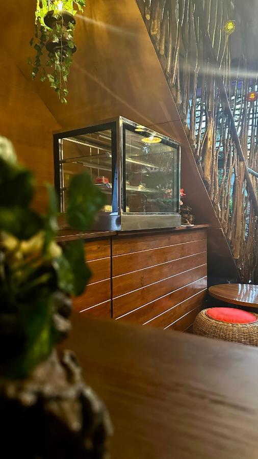 A Lounge Hostel And Cafe Ella Bagian luar foto